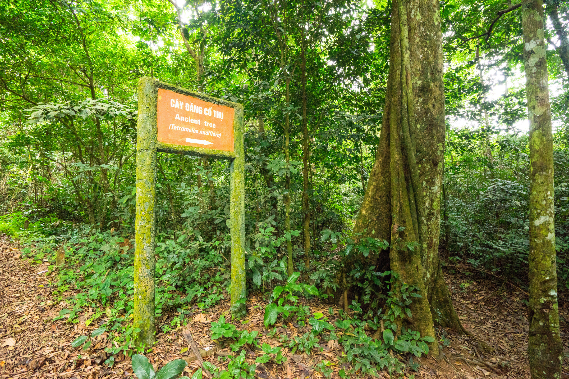 cuc phuong national park (2).webp
